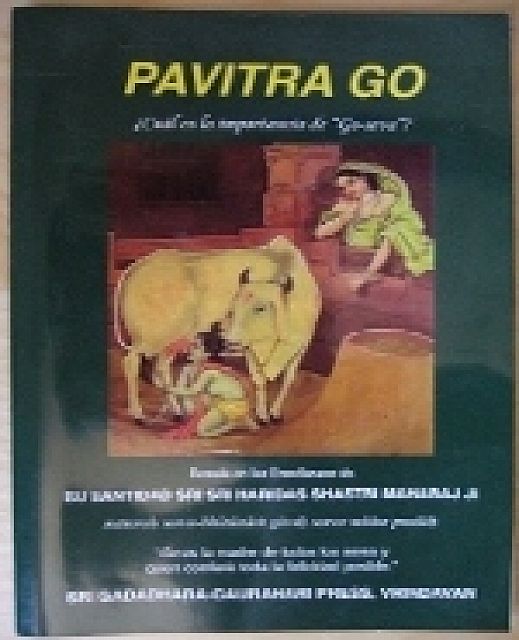 The Pavitra Go